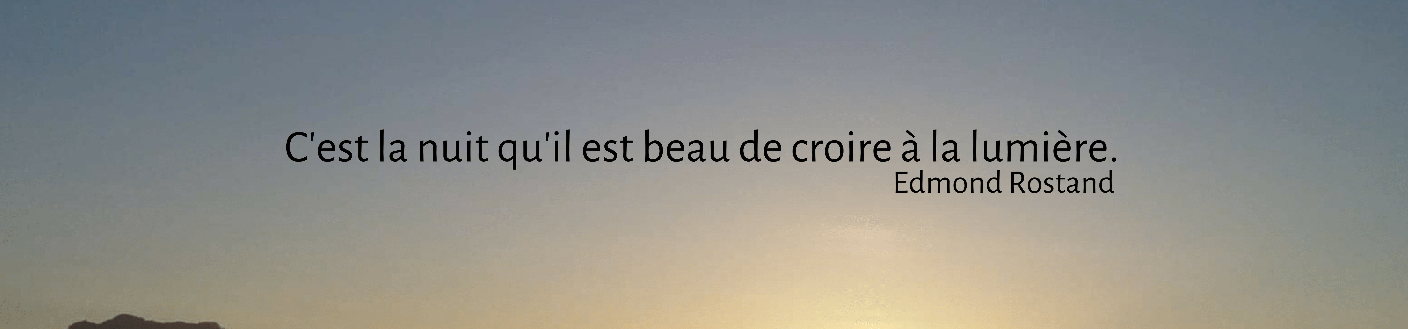 Le pas de l’oiseau vous souhaite une belle année 2019